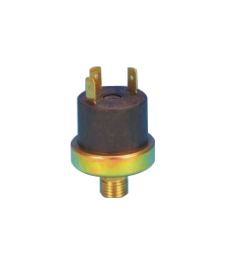 Vacuum Switches